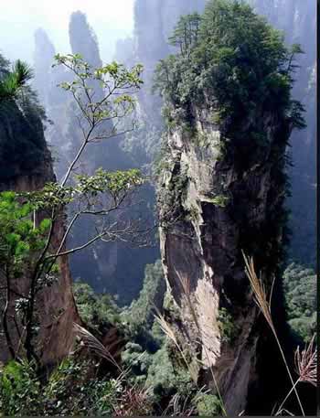 長沙出發(fā)到張家界溶洞奇觀黃龍洞、國家森林公園、袁家界、峰林之王天子山三日游（早班）