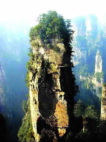 張家界國家地質(zhì)森林公園、黃石寨、金鞭溪休閑一日游
