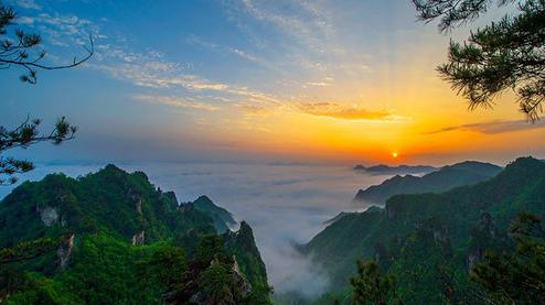 張家界森林公園（金鞭溪、袁家界、楊家界、天子山、十里畫廊）住山上2天1游（可看日出）